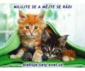 Milujte se a m�jte se r�di